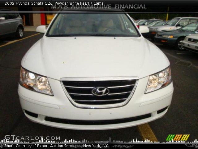 2009 Hyundai Sonata GLS in Powder White Pearl