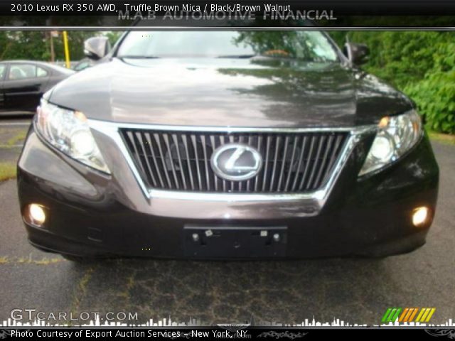 2010 Lexus RX 350 AWD in Truffle Brown Mica