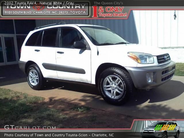 2002 Toyota RAV4  in Natural White