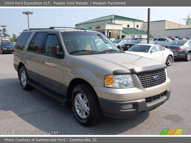 2004 Ford Expedition XLT in Pueblo Gold Metallic