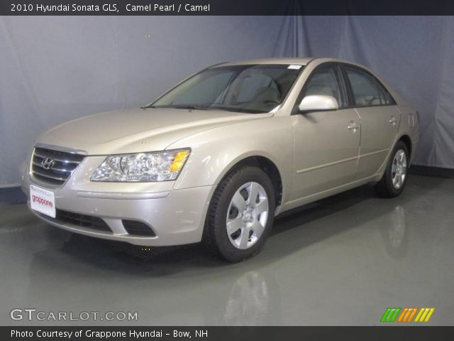 2010 Hyundai Sonata GLS in Camel Pearl