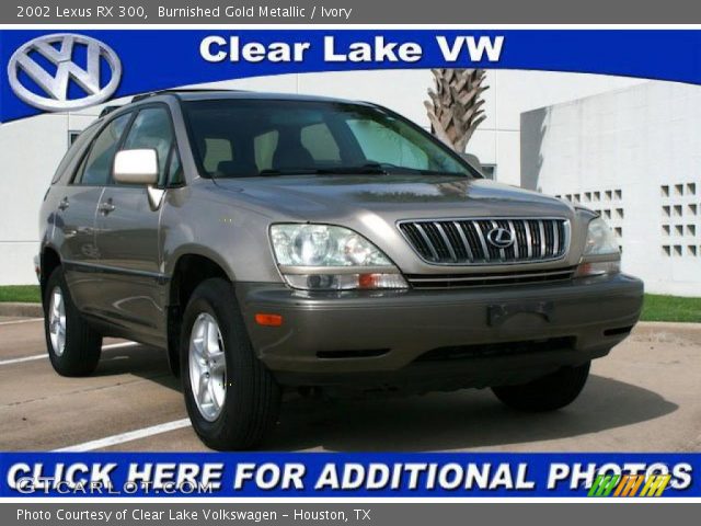 2002 Lexus RX 300 in Burnished Gold Metallic
