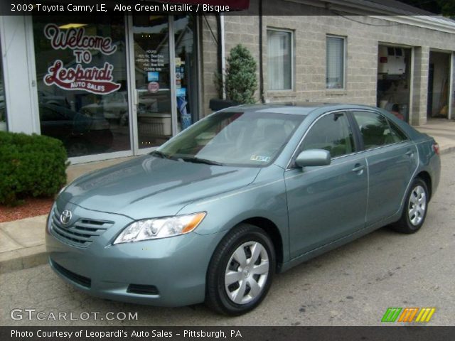 2009 Toyota Camry LE in Aloe Green Metallic