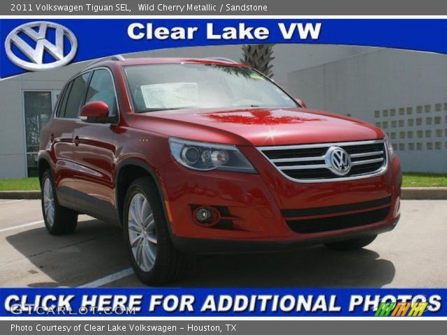 2011 Volkswagen Tiguan SEL in Wild Cherry Metallic