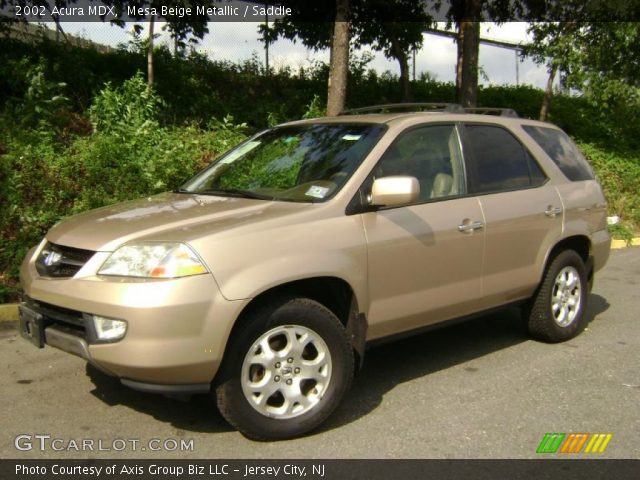 2002 Acura MDX  in Mesa Beige Metallic