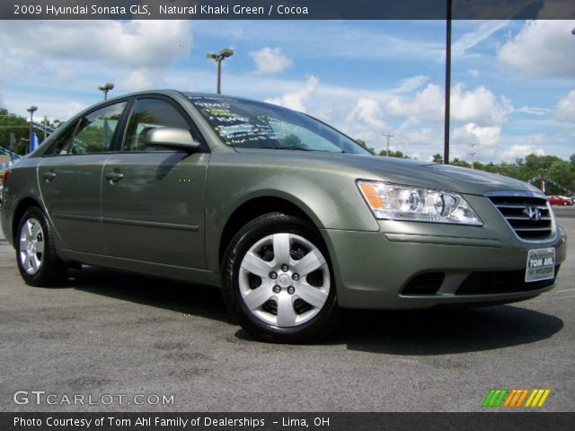 2009 Hyundai Sonata GLS in Natural Khaki Green