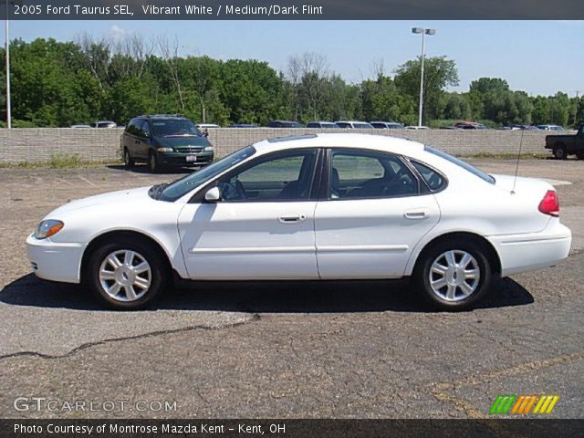 2005 Ford Taurus SEL in Vibrant White