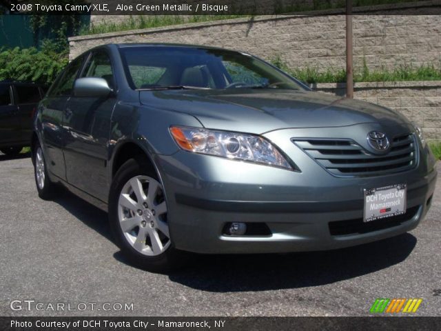 2008 Toyota Camry XLE in Aloe Green Metallic