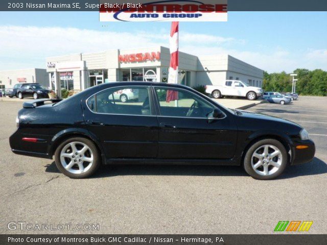 2003 Nissan Maxima SE in Super Black