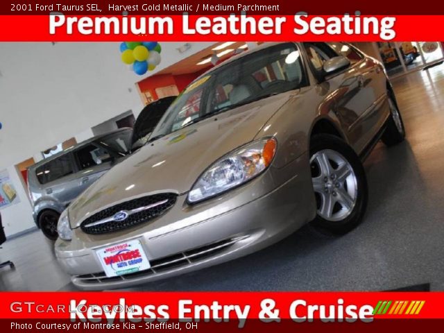 2001 Ford Taurus SEL in Harvest Gold Metallic