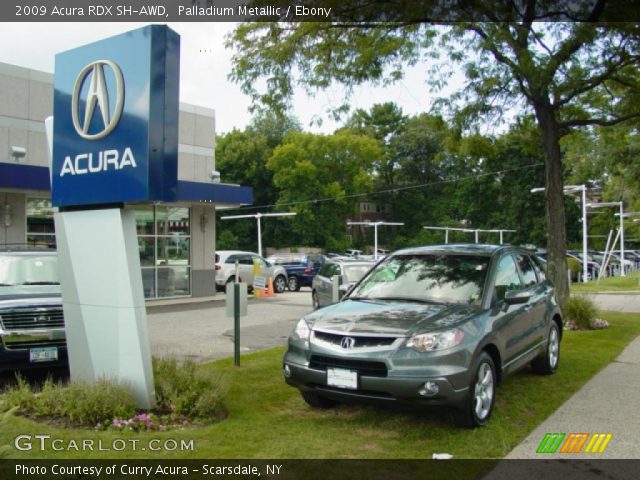 2009 Acura RDX SH-AWD in Palladium Metallic