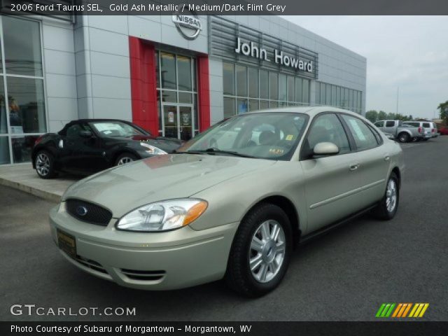 2006 Ford Taurus SEL in Gold Ash Metallic