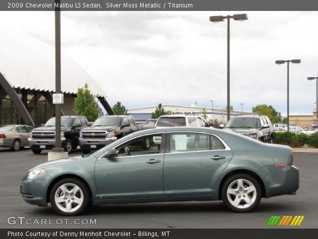 2009 Chevrolet Malibu LS Sedan in Silver Moss Metallic