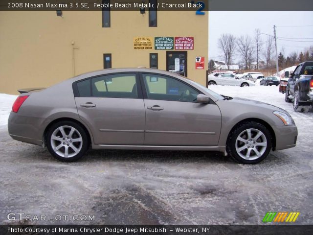 2008 Nissan Maxima 3.5 SE in Pebble Beach Metallic