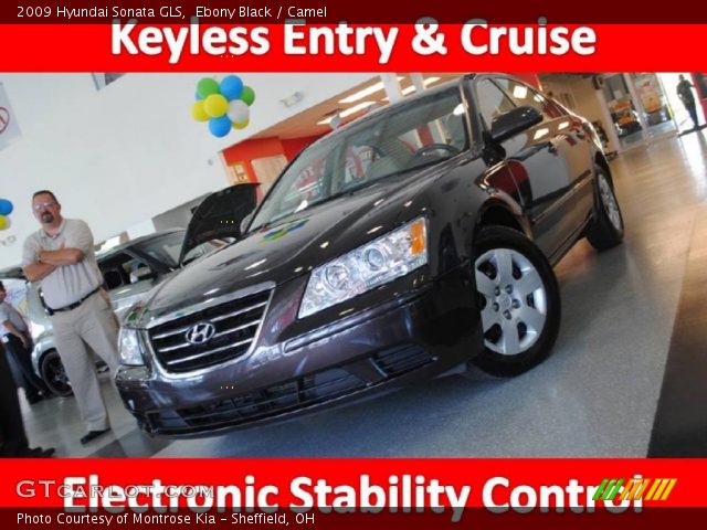 2009 Hyundai Sonata GLS in Ebony Black