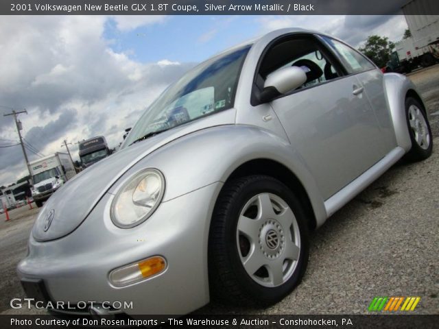 2001 Volkswagen New Beetle GLX 1.8T Coupe in Silver Arrow Metallic