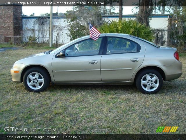 2002 Dodge Neon SE in Light Almond Pearl Metallic