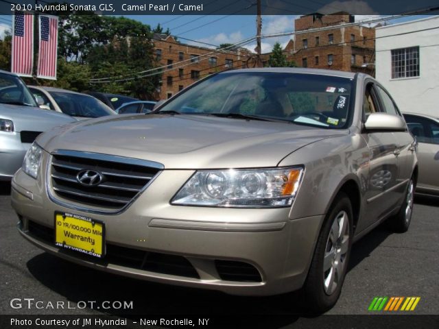 2010 Hyundai Sonata GLS in Camel Pearl