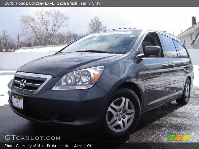 2005 Honda Odyssey EX-L in Sage Brush Pearl