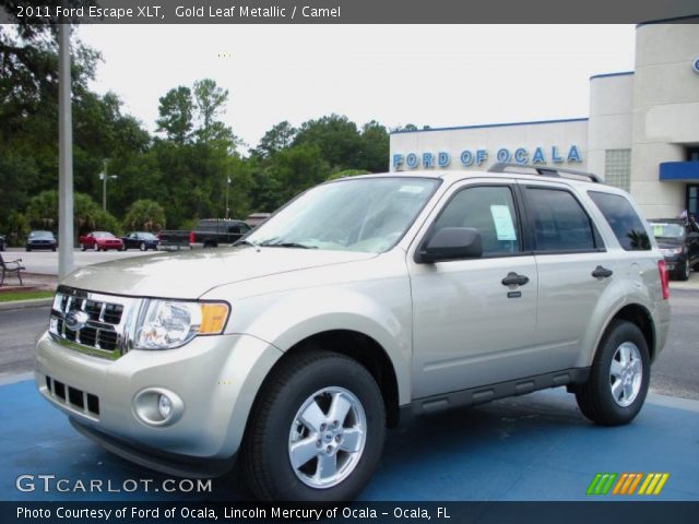 2011 Ford Escape XLT in Gold Leaf Metallic