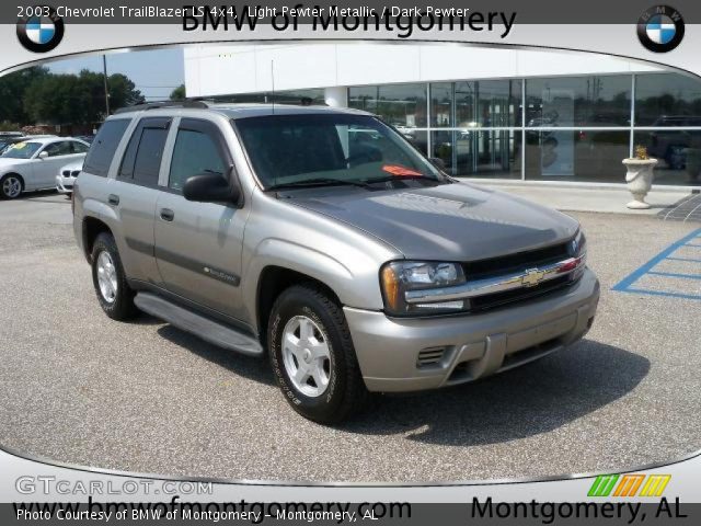 2003 Chevrolet TrailBlazer LS 4x4 in Light Pewter Metallic