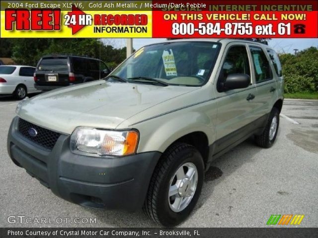 2004 Ford Escape XLS V6 in Gold Ash Metallic