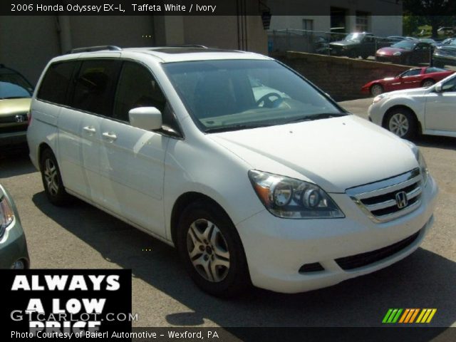 2006 Honda Odyssey EX-L in Taffeta White