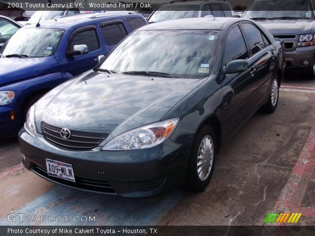 2001 Toyota Camry LE V6 in Woodland Pearl