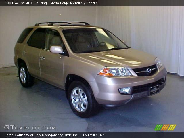 2001 Acura MDX Touring in Mesa Beige Metallic