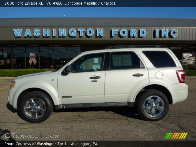 2008 Ford Escape XLT V6 4WD in Light Sage Metallic