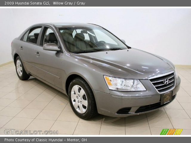 2009 Hyundai Sonata GLS in Willow Gray