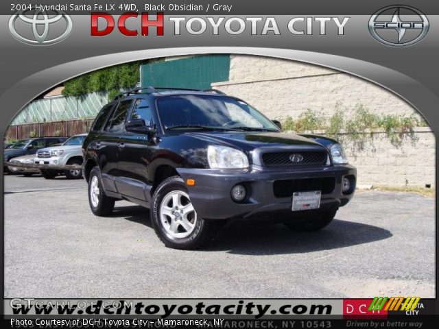 2004 Hyundai Santa Fe LX 4WD in Black Obsidian