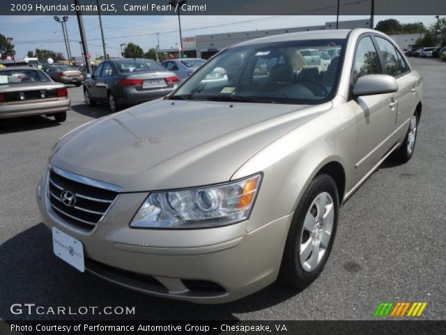 2009 Hyundai Sonata GLS in Camel Pearl