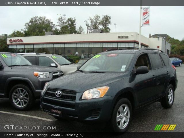 2009 Toyota RAV4 4WD in Black Forest Pearl