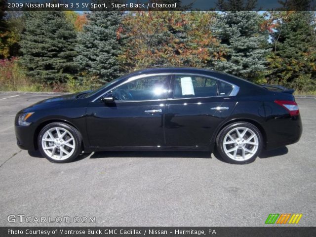 2009 Nissan maxima lexington ky #6