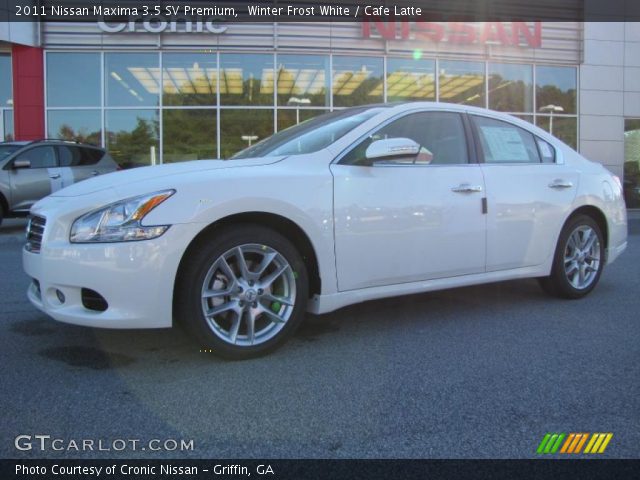 2011 Nissan Maxima 3.5 SV Premium in Winter Frost White