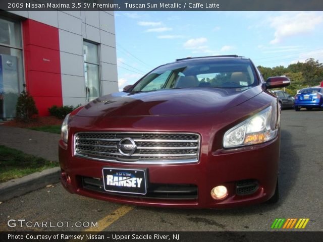 2009 Nissan Maxima 3.5 SV Premium in Tuscan Sun Metallic