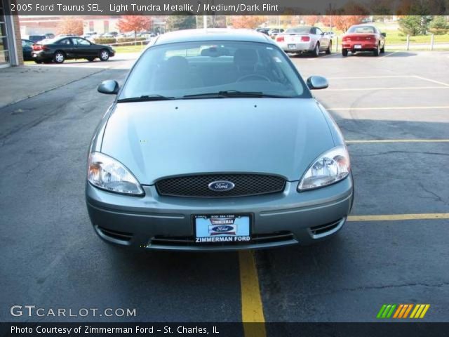 2005 Ford Taurus SEL in Light Tundra Metallic