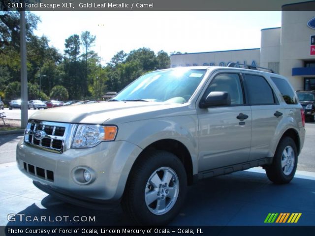 2011 Ford Escape XLT in Gold Leaf Metallic