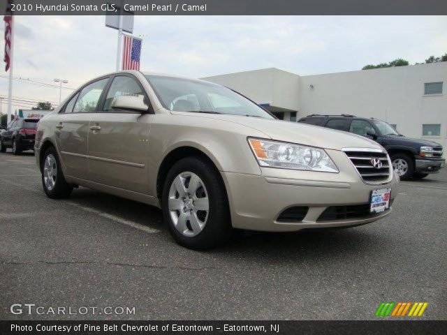 2010 Hyundai Sonata GLS in Camel Pearl