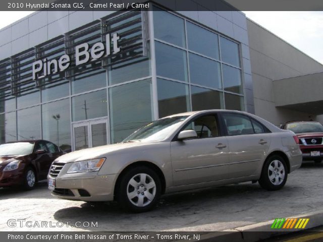 2010 Hyundai Sonata GLS in Camel Pearl