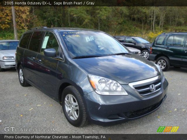 2005 Honda Odyssey EX-L in Sage Brush Pearl