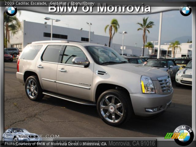 2009 Cadillac Escalade  in Gold Mist