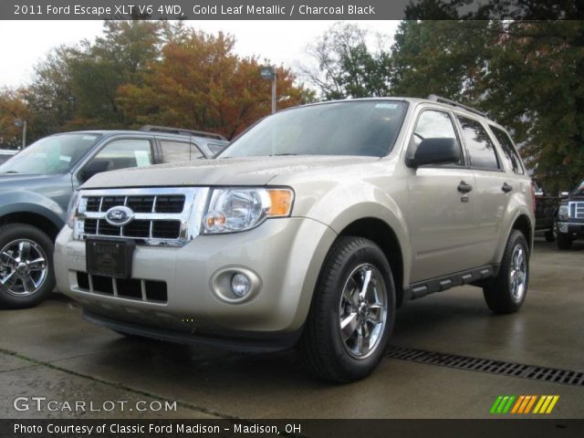 2011 Ford Escape XLT V6 4WD in Gold Leaf Metallic