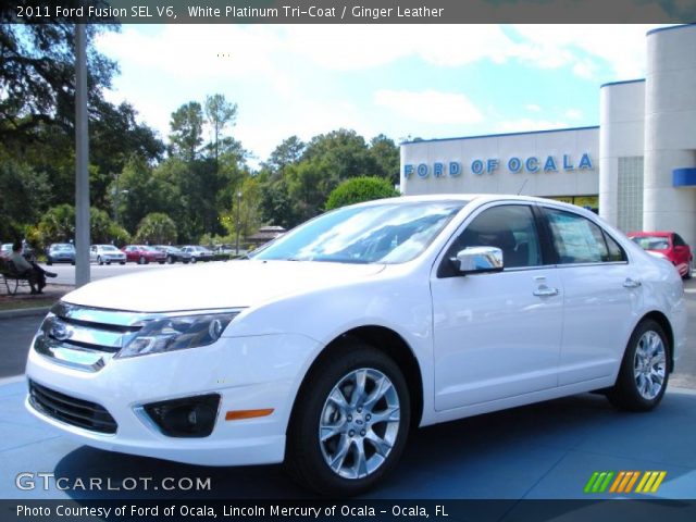 2011 Ford Fusion SEL V6 in White Platinum Tri-Coat