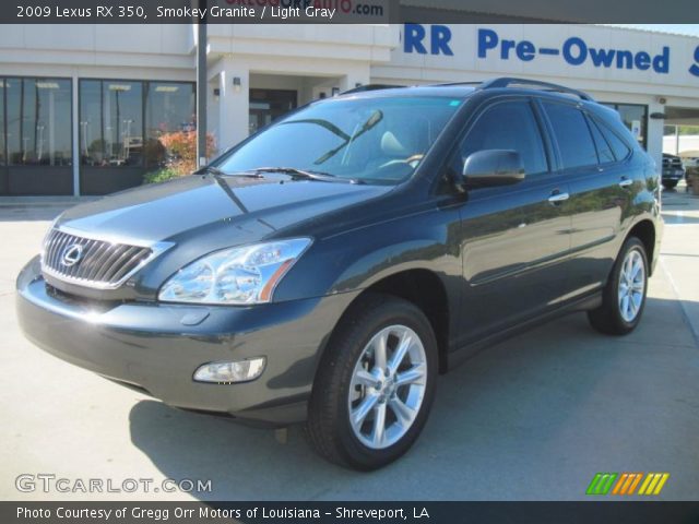 2009 Lexus RX 350 in Smokey Granite