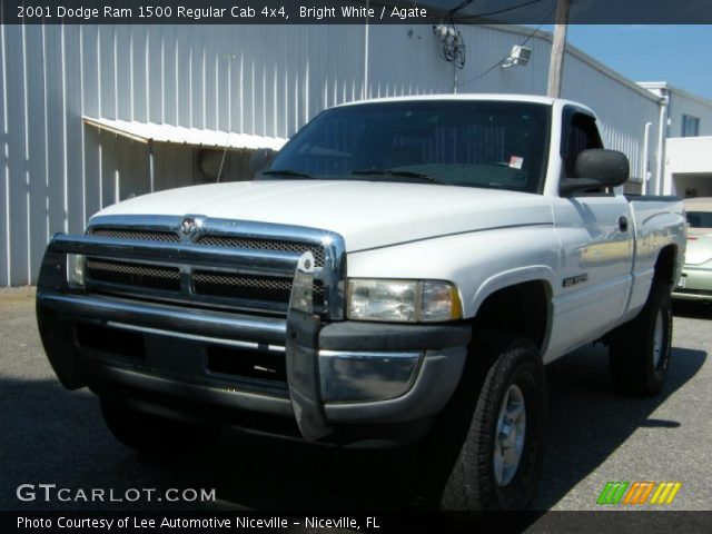 2001 Dodge Ram 1500 Regular Cab 4x4 in Bright White