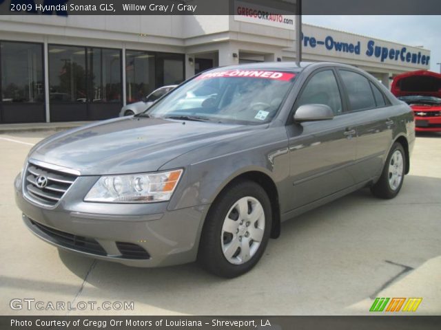 2009 Hyundai Sonata GLS in Willow Gray