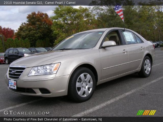 2010 Hyundai Sonata GLS in Camel Pearl