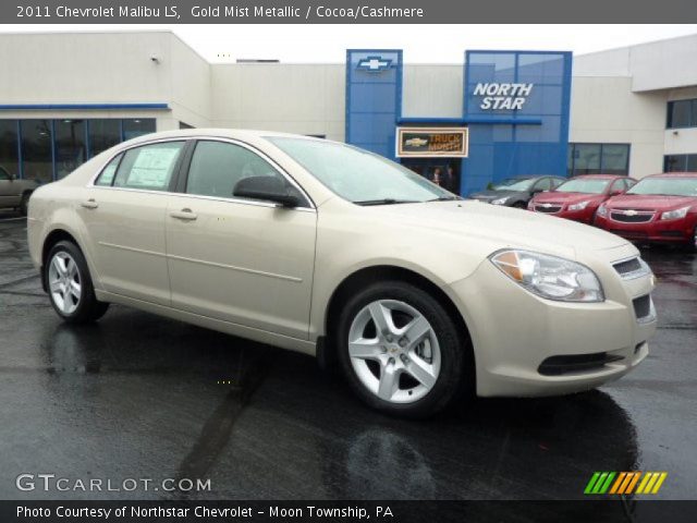 2011 Chevrolet Malibu LS in Gold Mist Metallic